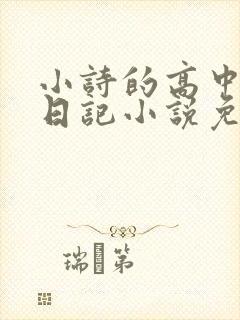 小诗的高中成长日记小说免费阅读