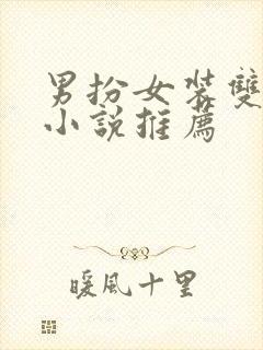 男扮女装双男主小说推荐