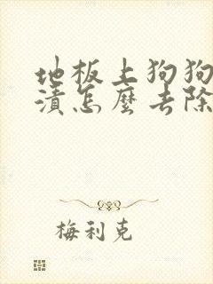 地板上狗狗的尿渍怎么去除