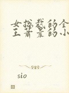 女总裁的全能兵王萧晨的小说