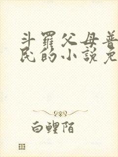 斗罗父母普通平民的小说免费阅读