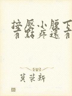 按压小腹下面会有点疼还有尿意