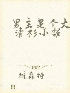 男主是个大反派 清衫小说