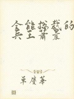 全能总裁的全能兵王萧晨