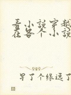 看小说穿越之我在各个小说当女主