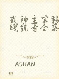 武神主宰动画在线观看全集免费播放