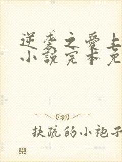 逆袭之爱上情敌小说完本免费阅读