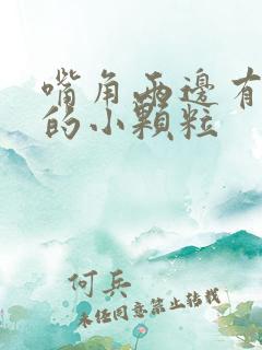 嘴角两边有白色的小颗粒