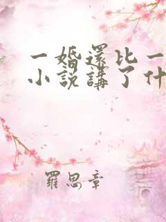 一婚还比一婚高小说讲了什么