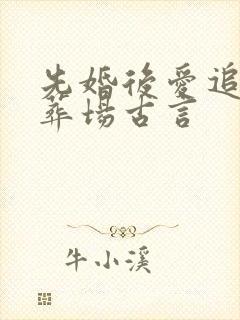 先婚后爱追妻火葬场古言