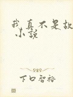 我真不是故意的 小说