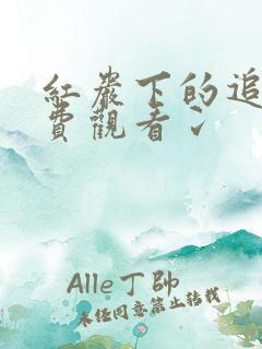 红岩下的追捕免费观看冫