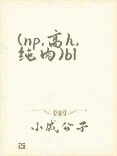 (np,高h,纯肉)bl