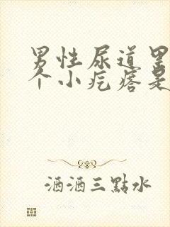 男性尿道里有一个小疙瘩是怎么回事