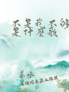 不是我不够坚强是什么歌