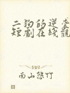 二狗的逆袭人生短剧在线观看