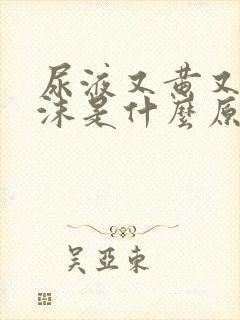 尿液又黄又有泡沫是什么原因