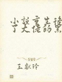 小说重生后我成了大佬的黑月光txt