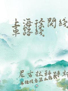 上海徐闵线公交车路线