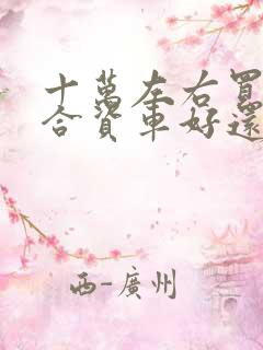 十万左右买什么合资车好还是国产车好