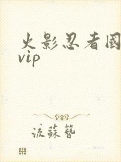 火影忍者国语版vip