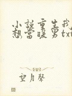 小说重生我真没想当暖男txt