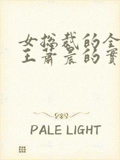 女总裁的全能兵王萧晨的实力