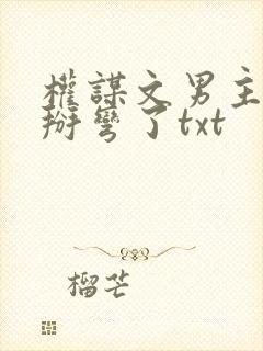 权谋文男主被我掰弯了txt