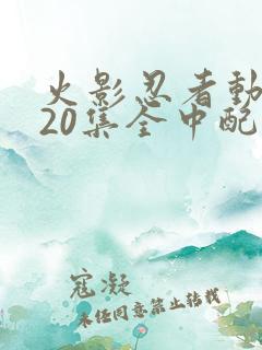 火影忍者动漫720集全中配版免费观看