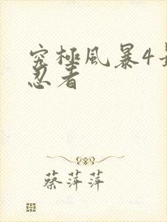 究极风暴4最强忍者