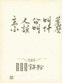 主人公叫叶玄的小说叫什么名字