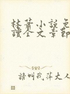 林萧小说免费阅读全文章节