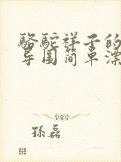 骆驼祥子的思维导图简单漂亮清晰