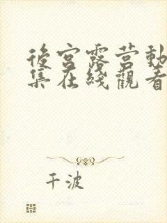 后宫露营动漫全集在线观看免费版