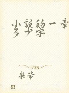 小说的一章大概多少字