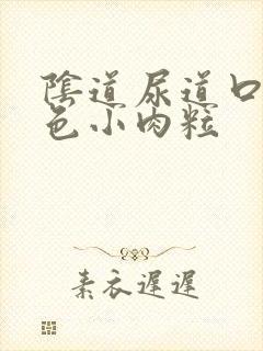 阴道尿道口长白色小肉粒