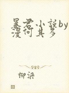 暴君小说by漫漫何其多