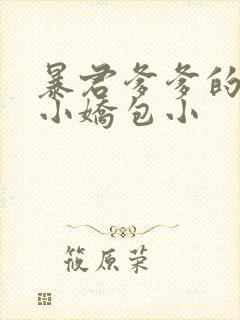 暴君爹爹的团宠小娇包小