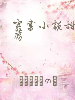 穿书小说甜文推荐