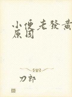 小便老发黄什么原因