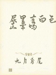 尿里有白色杂质正常吗