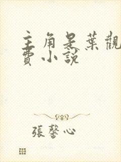 主角是叶观的免费小说