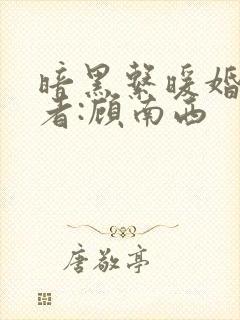 暗黑系暖婚》作者:顾南西