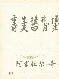 重生后我顶替了前夫白月光l