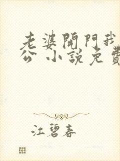 老婆开门我是老公 小说免费阅读