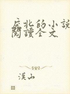 庞北的小说免费阅读全文