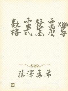 数电发票xml格式怎么导出