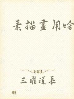 素描画用啥铅笔