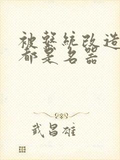 被系统改造全身都是名器