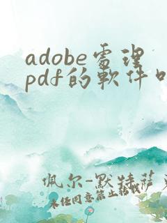 adobe处理pdf的软件叫什么